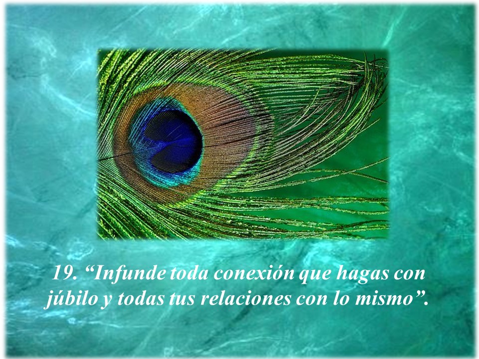 CyclopeaMáxima19