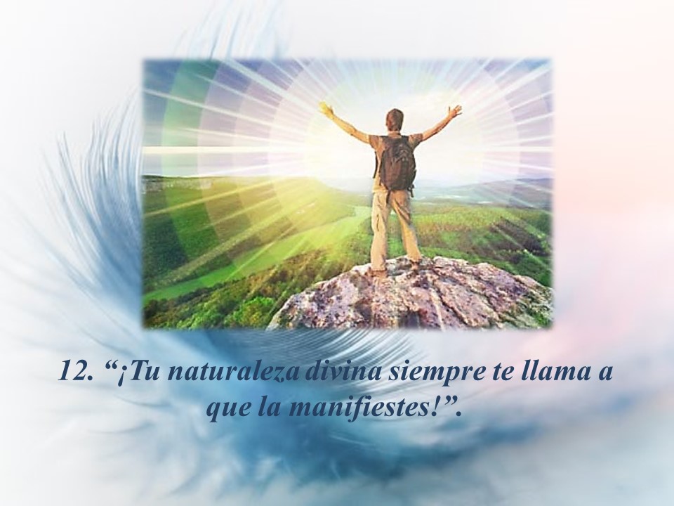 VictoryMáxima12